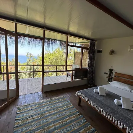 Honey Hill Forest Cabins By The Sea Nocleg ze śniadaniem *