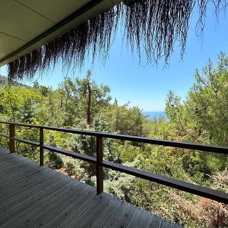 Nocleg ze śniadaniem Honey Hill Forest Cabins By The Sea *